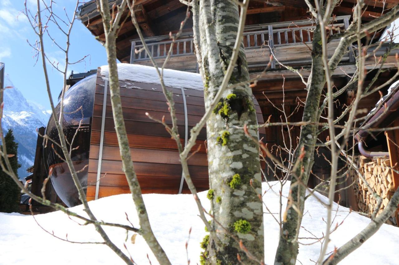 Les 3 Cimes Blanches Villa Chamonix Ngoại thất bức ảnh